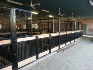 Horse stall partitions